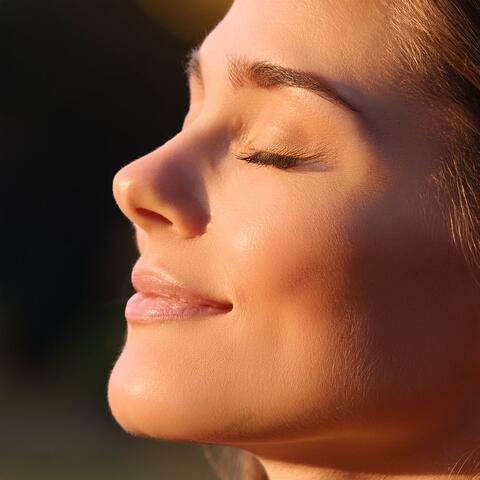 Music For The Quiet Sanctuary Of Relaxation And Serenity