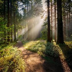 A Path Of Soft, Unspoken Words