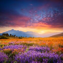 Thoughts Set Free In The Silence