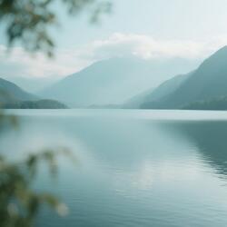 Peaceful Focus Gentle Rhythms