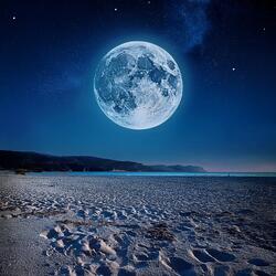 Conversaciones Silenciosas Entre Notas