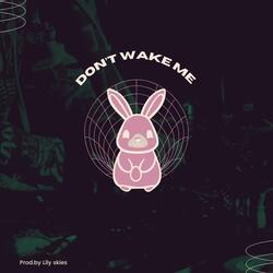 Don’t Wake Me