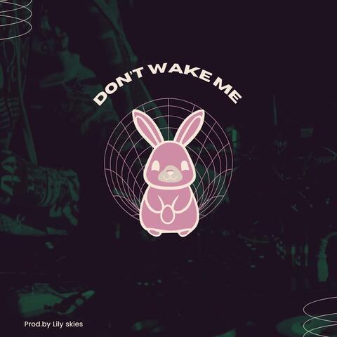Don’t Wake Me