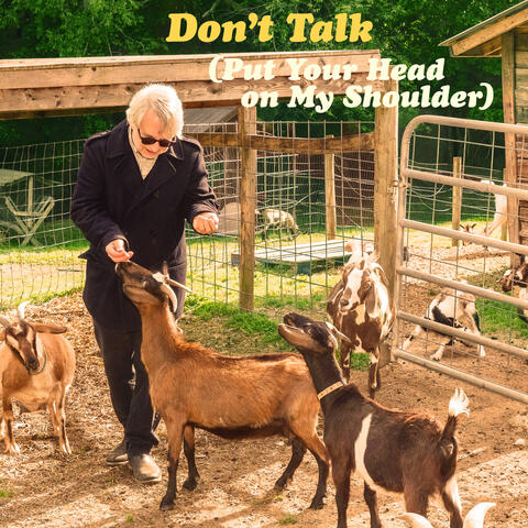 Don't Talk (Put Your Head on My Shoulder)