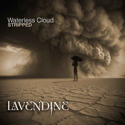 Waterless Cloud