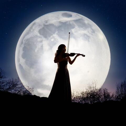 Orchestra Of Dreaming Nights: Music For Restful Sleep