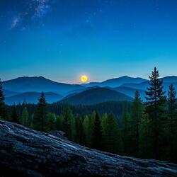 Harmony for Night Calm