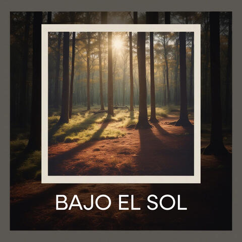bajo el sol