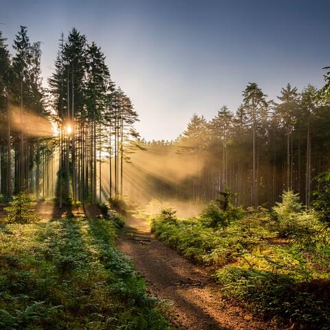 Music For Moments Of Reflection And Peace