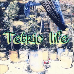 Tetric Life