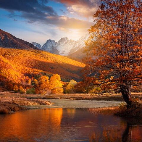 Music for Quiet Moments and Soft Reflections
