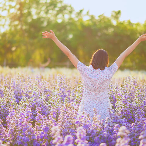 Blooming Resilience