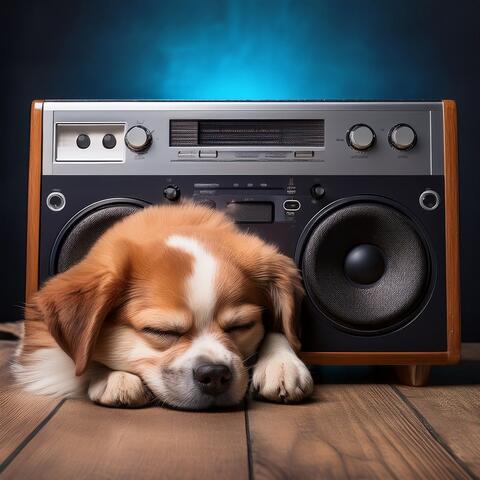 Hip Hop for Dogs: Rhythms for the Paws