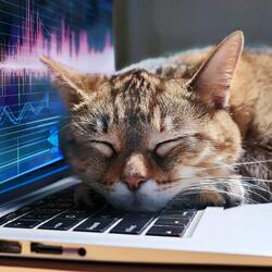 Tails On The Turntable