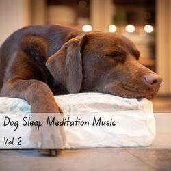 Music for Pets