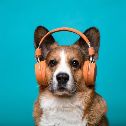 Música Para Perros: Colas Alegres Y Siestas Acogedoras