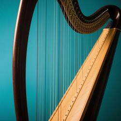 Focused Orchestra for Calm