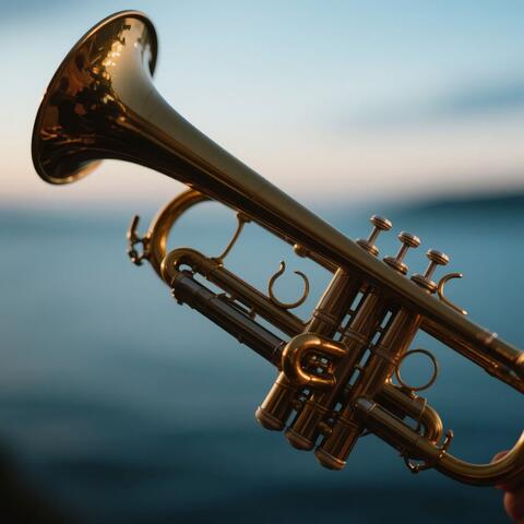 Orchestra Sounds for Baby's Calm