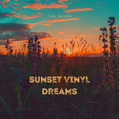 Sunset Vinyl Dreams