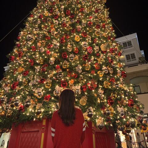 Wishes Of A Girl (A Christmas Song)