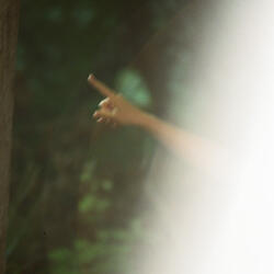 Palace of Sunflowers