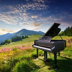 Stillness Carried Through The Piano