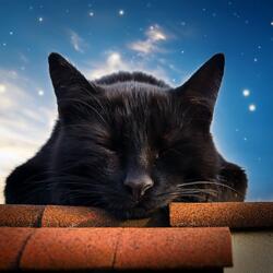 Curled Beneath The Blanket Of Calm