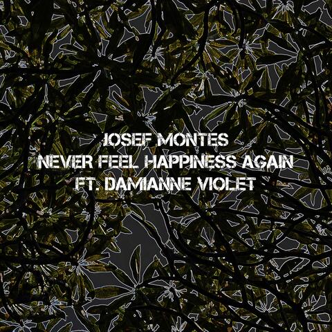 Never Feel Happiness Again