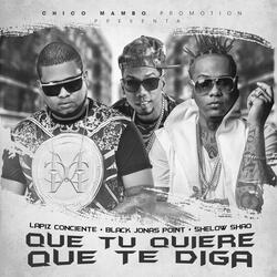 Que Tu Quiere Que Te Diga