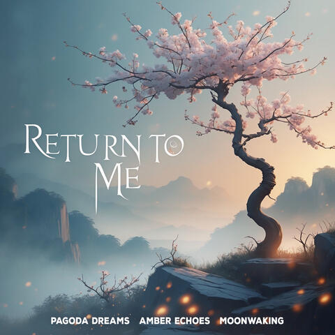 Return To Me