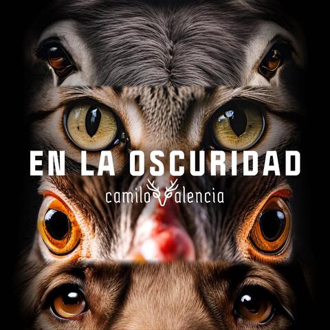 En la Oscuridad