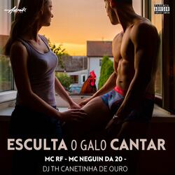 Esculta o galo cantar
