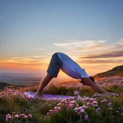 A World Kept In Restful Bloom