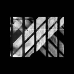 Tidal