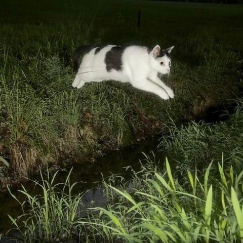 my life could be very diffferent without you in it