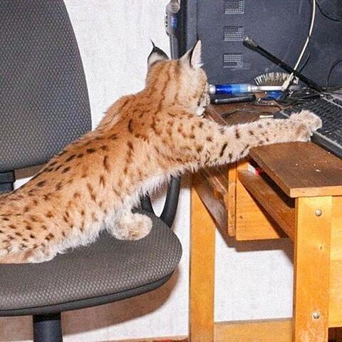 can't remember to let go