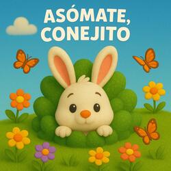 Asómate Conejito