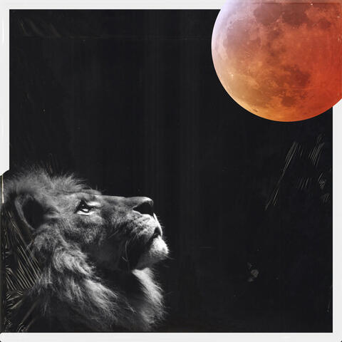 Darkest Nights IV