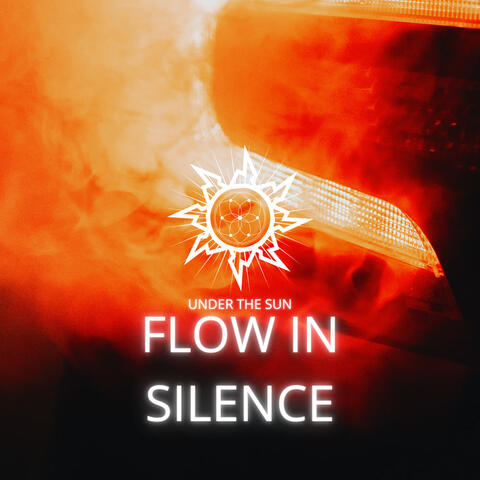 Flow In Silence
