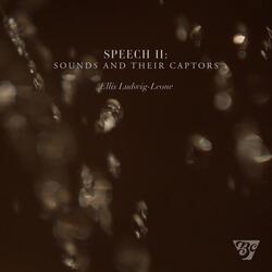 Speech II: Sounds and their Captors