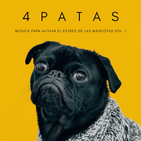 4Patas: Música Para Aliviar El Estres De Las Mascotas Vol. 1