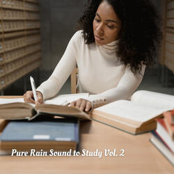 Rain Thunderstorm Sleeping Sound