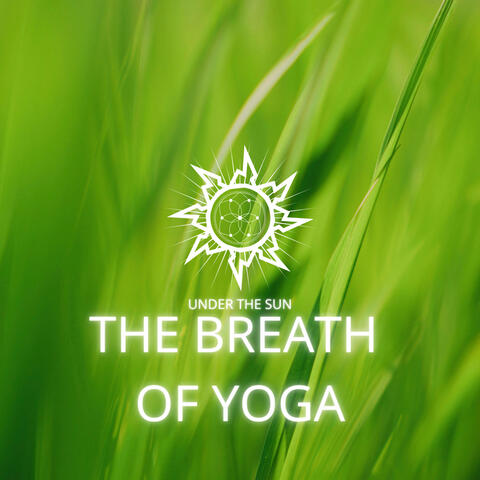 The Breath Of Yoga