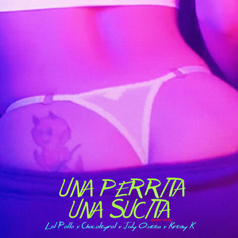 Una Perrita Una Sucita