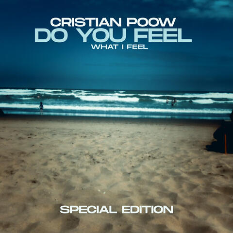 Do You Feel (What I Feel)