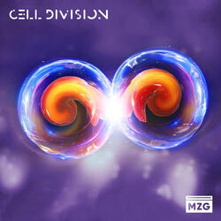 Metaphase