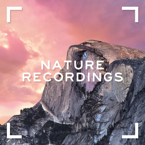 Nature Recordings