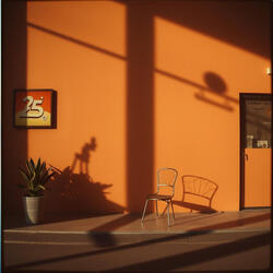 Shadowplay