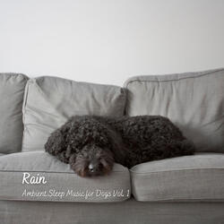 Rainy Day Loop