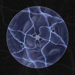 Ephemeral